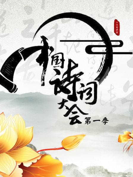 《中國詩詞大會》第一季 2016