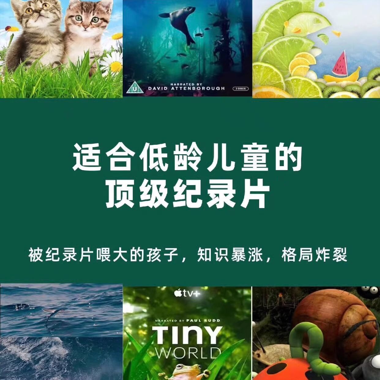 2025假期央推少兒中小學百科神級高清記錄片星球人文歷史地理素材
